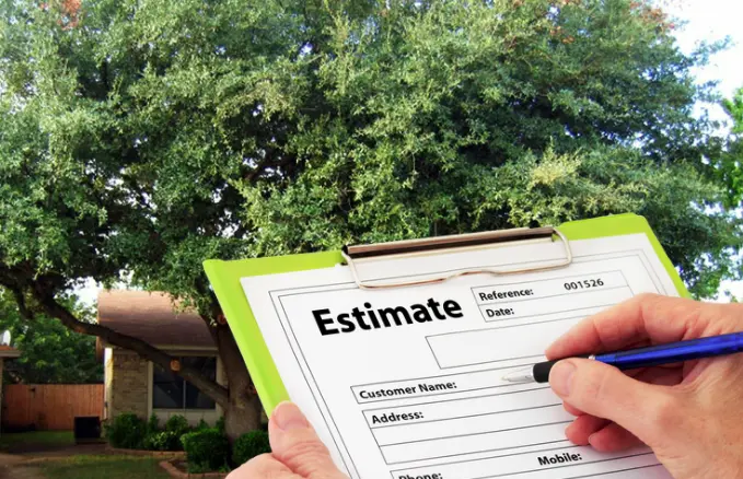 Tree service estimator reviewing job site with measuring tools and clipboard near a large tree