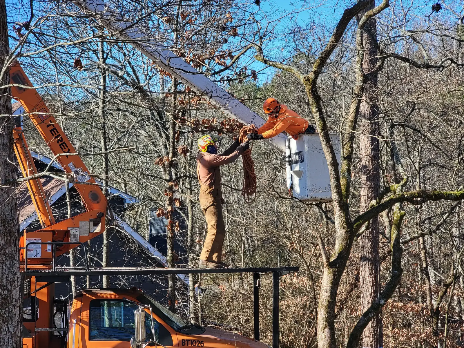 Tree service crew member working on the ground with chipper while climber works above in tree