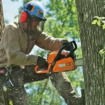 Tree service worker wearing a safety helmet and ear protection operating a chainsaw in a tree