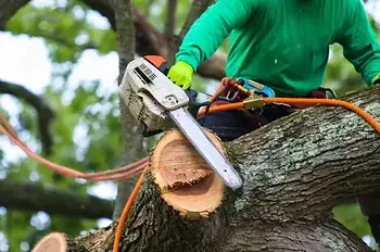 Tree service worker using a chainsaw to cut through a large tree limb on-site