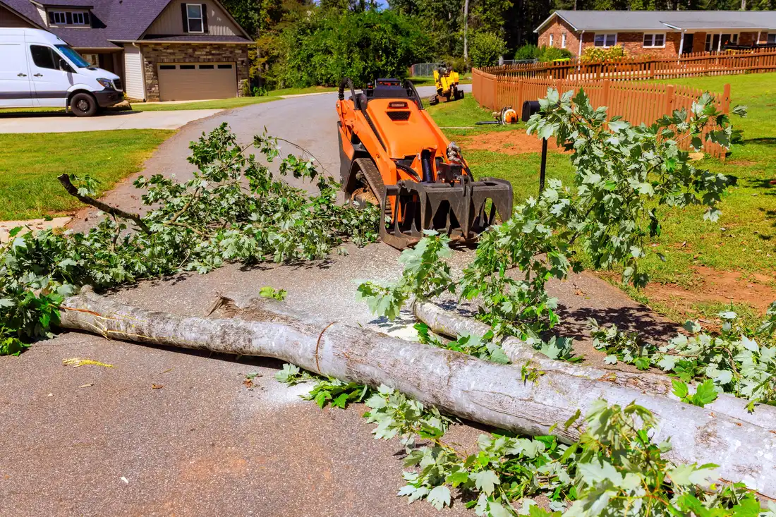 A felled trunk and scattered limbs across a residential driveway with an orange tracked loader waiting behind