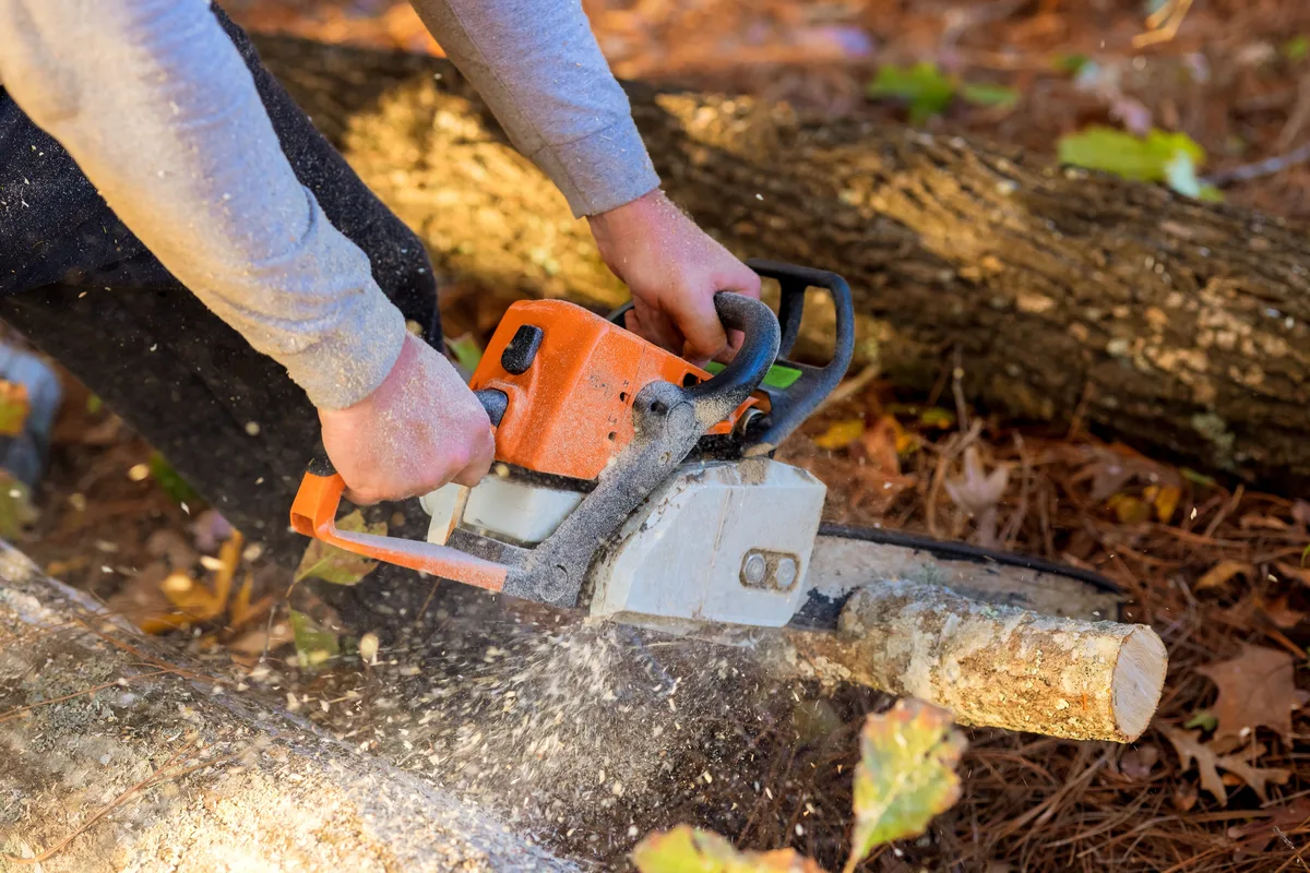 A crouching worker cutting through a felled trunk on the forest floor, sawdust spraying from the bar