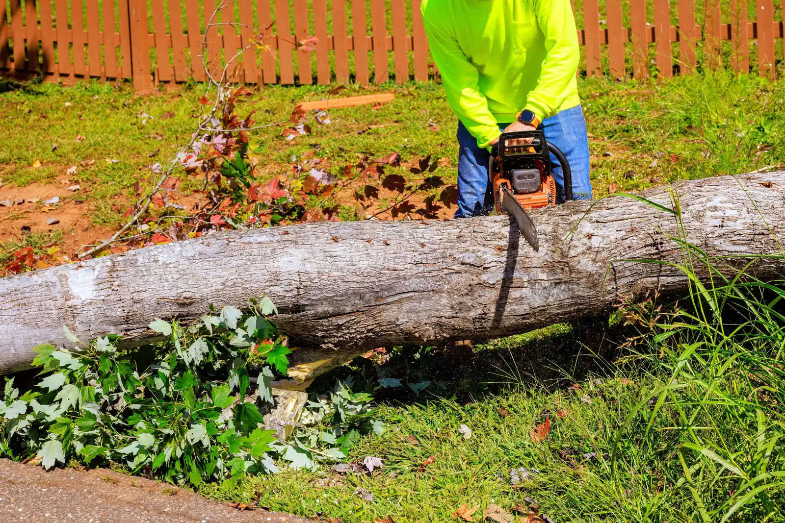 A worker in high-visibility clothing cutting a fallen trunk in a fenced yard