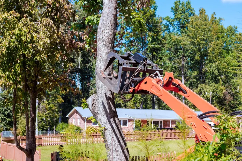 A knuckle-boom grapple arm reaching in among standing trees