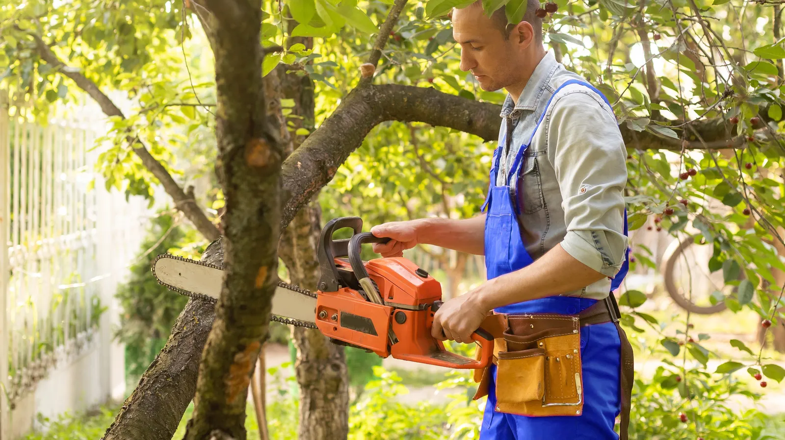 A worker in overalls holding a chainsaw beside a freshly trimmed tree