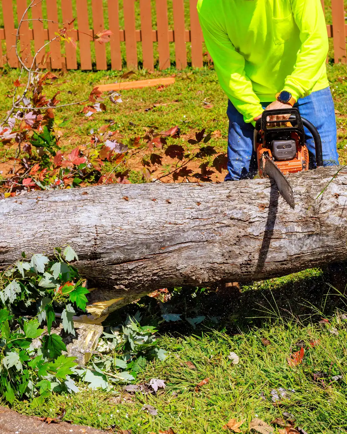 A worker in a high-visibility green shirt cutting through a fallen trunk beside a wooden picket fence in autumn