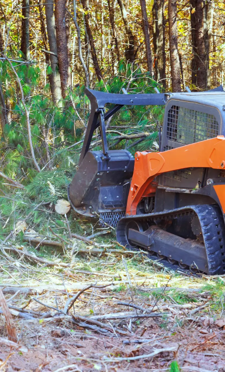 A compact tracked loader parked in a wooded lot beside cut brush