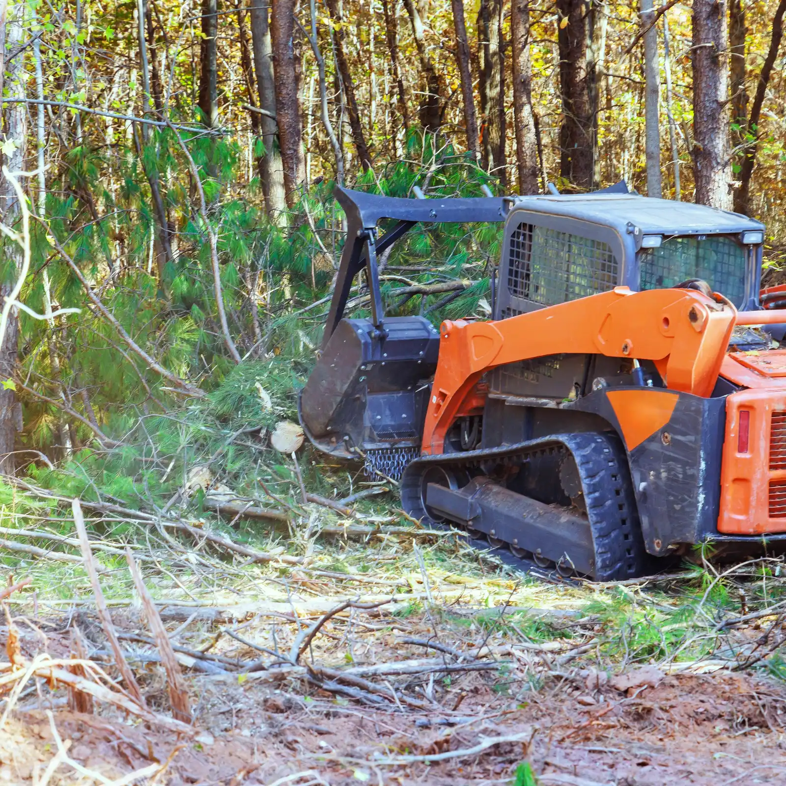 A compact tracked loader parked in a wooded lot beside cut brush