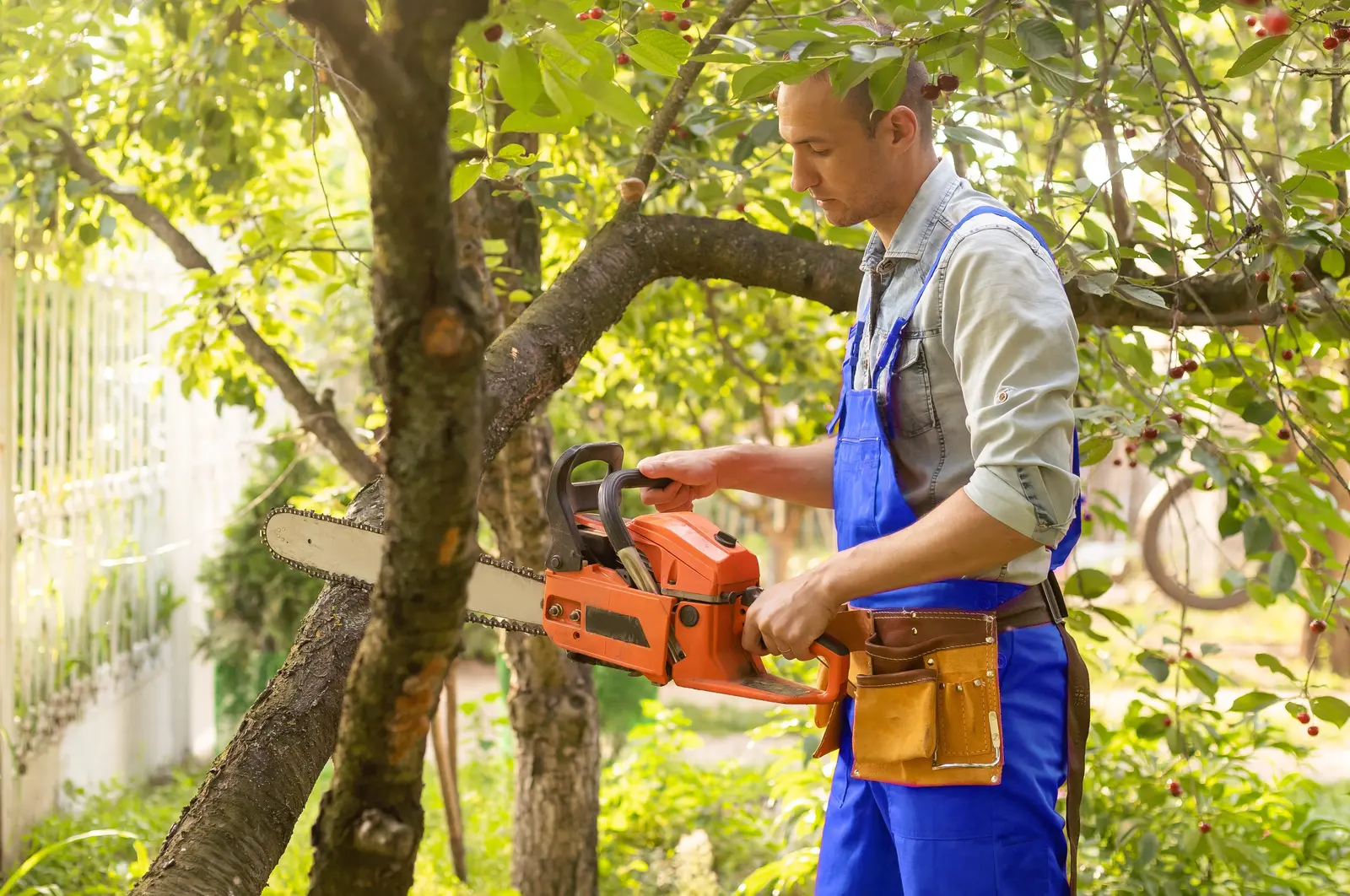 A worker in overalls holding a chainsaw beside a freshly trimmed tree