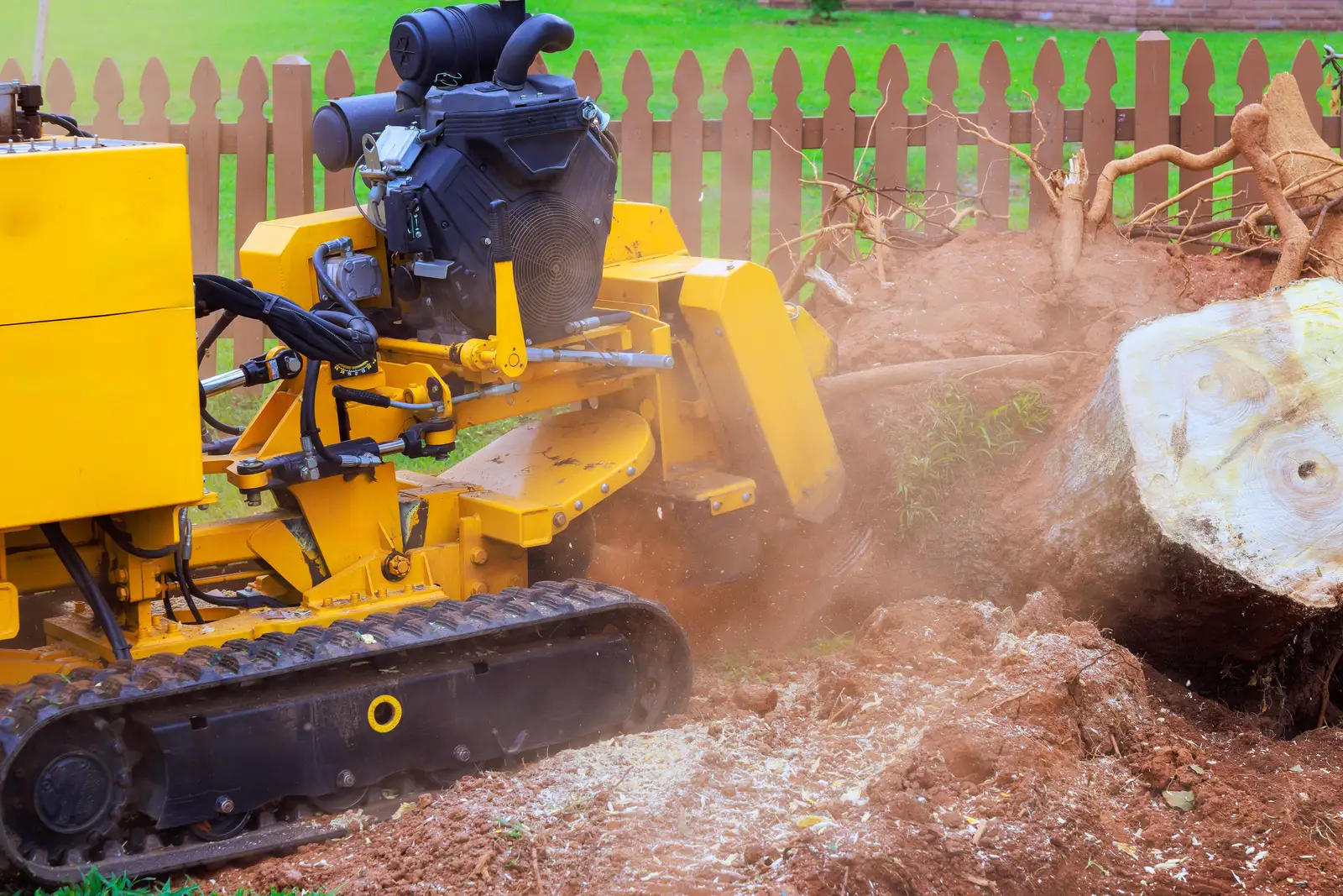 A stump grinder throwing chips as its wheel cuts into a stump